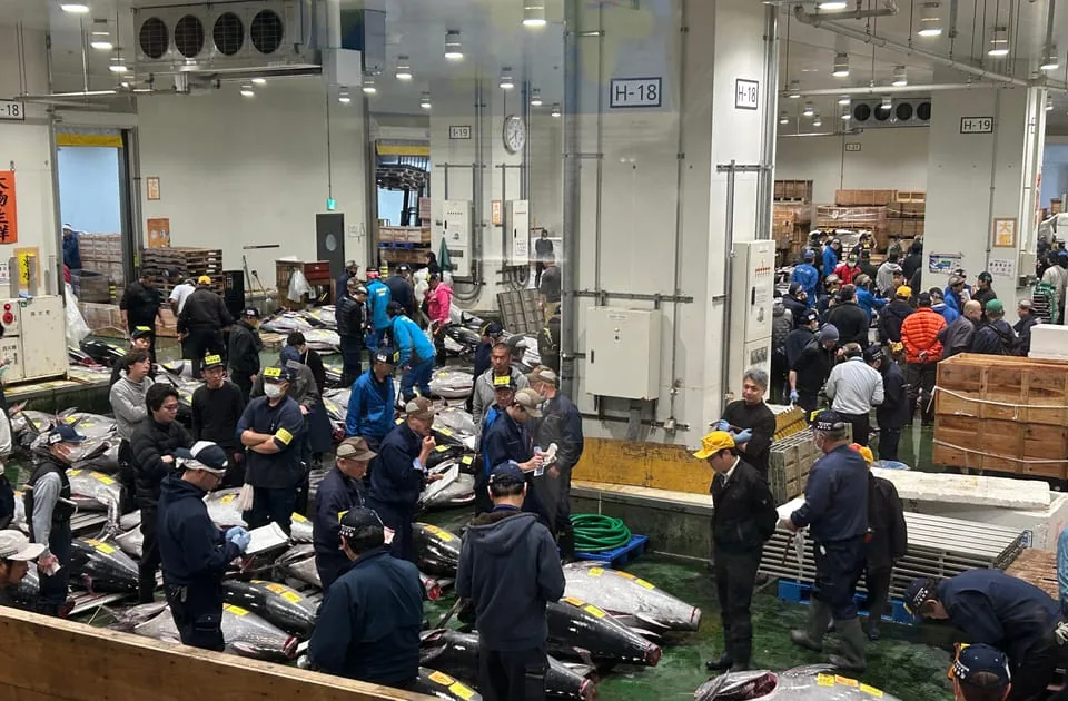 Private Toyosu & Tsukiji Market Adventure with Tuna Auction